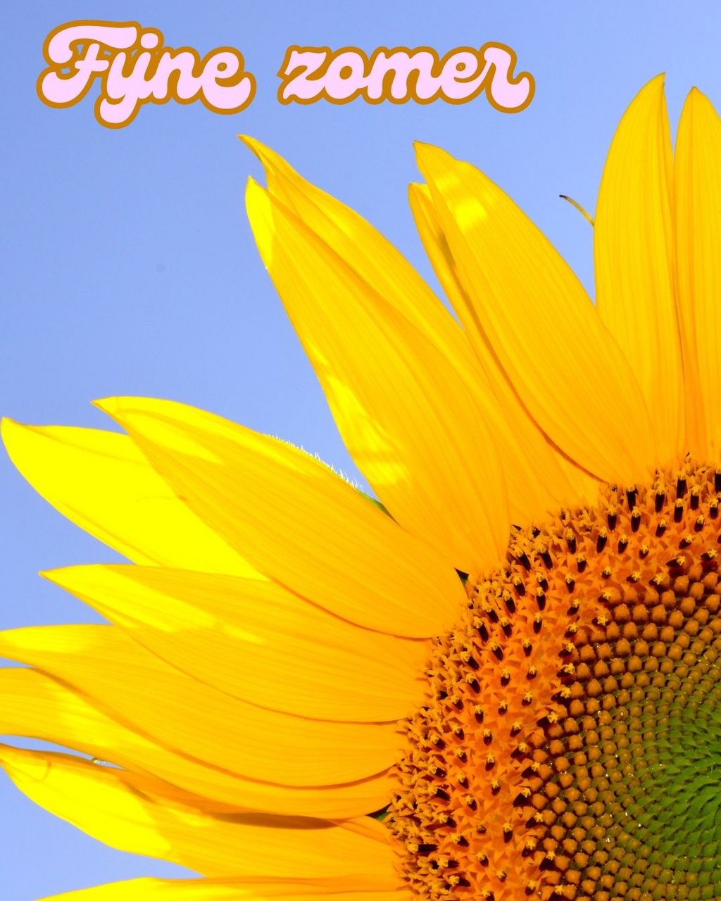 zonnebloem met tekst fijne zomer erbij